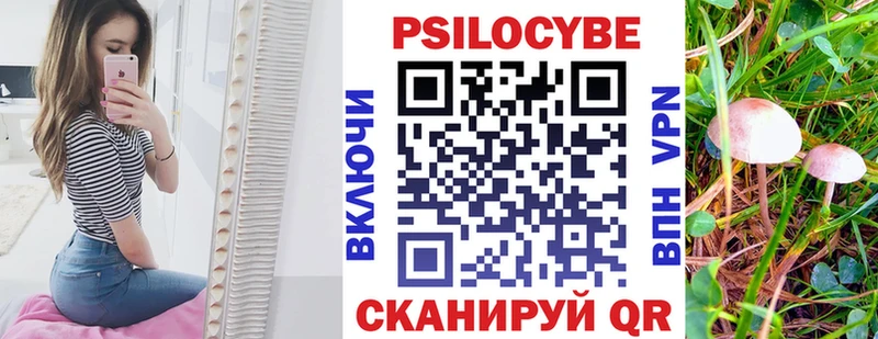 наркотики Кириллов Псилоцибиновые грибы Psilocybine cubensis